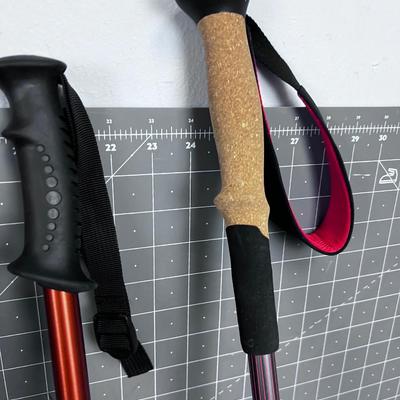 MONO Pod and (2) Trekking Poles 