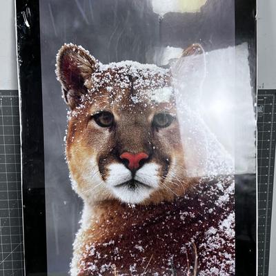 Mountain Lion Poster, Still Sealed in plastic