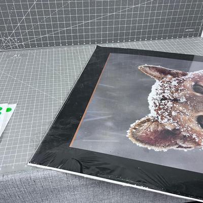 Mountain Lion Poster, Still Sealed in plastic