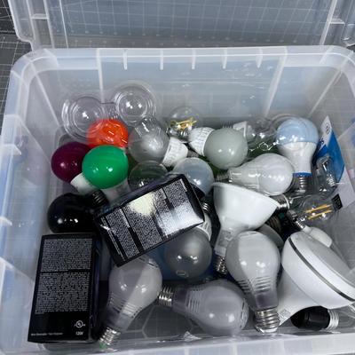 Tub Full of LED Light Bulbs 