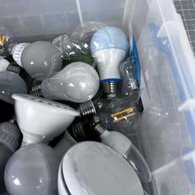 Tub Full of LED Light Bulbs 