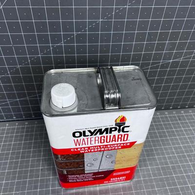 Full Jug of Olympic Water Guard 