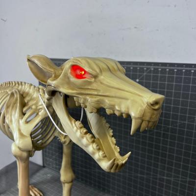 Plastic BONE Dog 