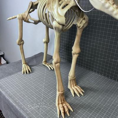 Plastic BONE Dog 