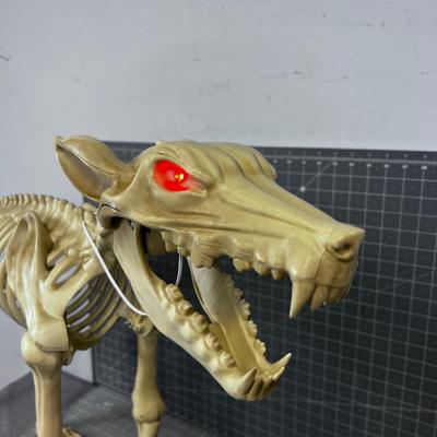 Plastic BONE Dog 