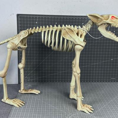 Plastic BONE Dog 