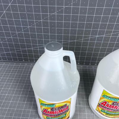 2 - Half Gallons of Ammonia (Sealed)