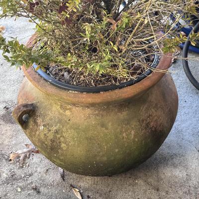 Two Handled Planters (LD-DZ)