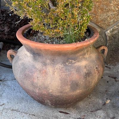 Two Handled Planters (LD-DZ)