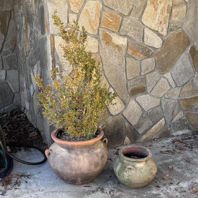 Two Handled Planters (LD-DZ)