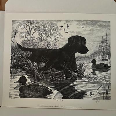 Glen gore signed numbered print