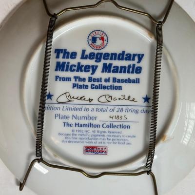 LOT 175A: The Hamilton Collection & Delph Decorative Baseball Plates