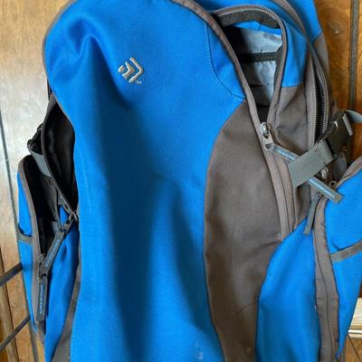 Backpack and computer bag