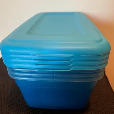 4 small blue totes