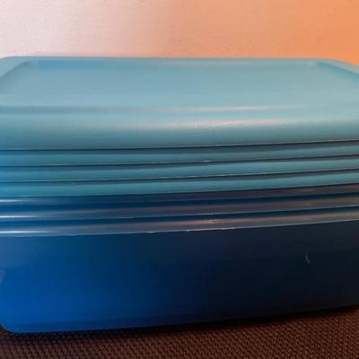 4 small blue totes