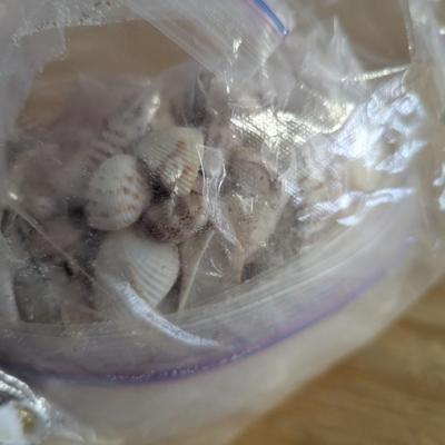3 Bags Of Sea Shells (G)