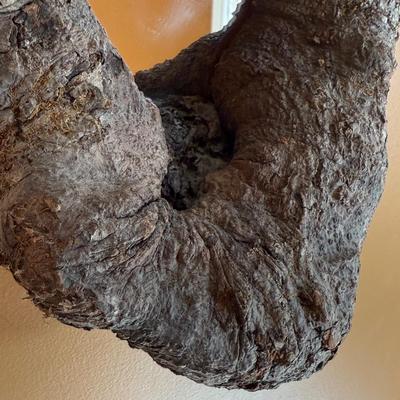 Maple Knothole Mirror (FE-HS)