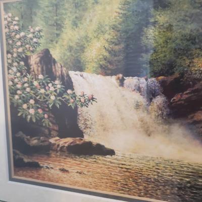 Rhododendron Waterfall by Shryack (B1-KD)