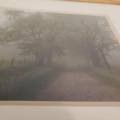 Misty Morning (B1-KD)