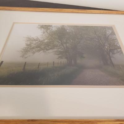 Misty Morning (B1-KD)