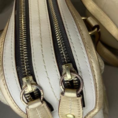 Coach Handbag with Gold Leather trim