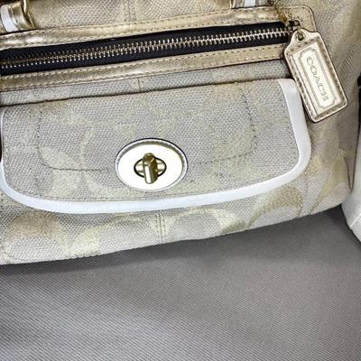 Coach Handbag with Gold Leather trim