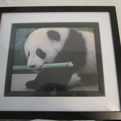 Framed baby Panda picture
