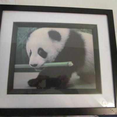 Framed baby Panda picture