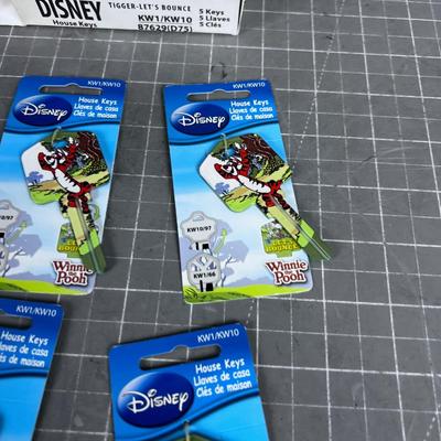 Tigger Key Blanks 5