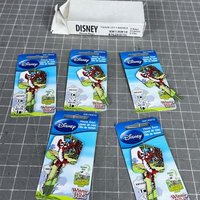 Tigger Key Blanks 5