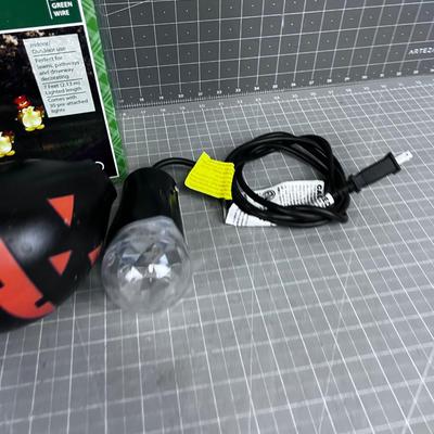 Halloween / Christmas Holiday Lighting