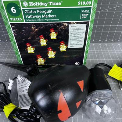 Halloween / Christmas Holiday Lighting