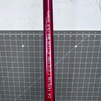 2 Bait Casting Poles & Reels 