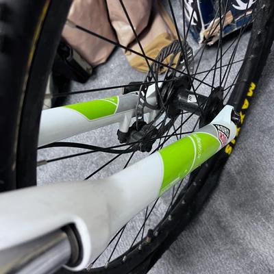 Avalanche GT Mountain Bike, Green & Silver 