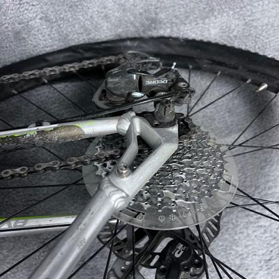 Avalanche GT Mountain Bike, Green & Silver 