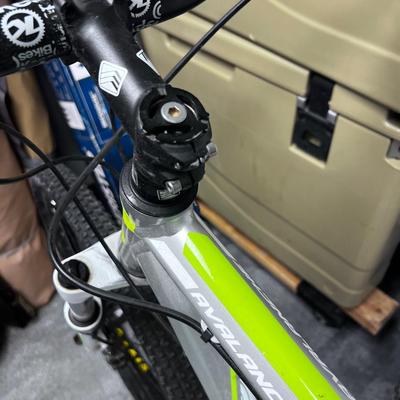 Avalanche GT Mountain Bike, Green & Silver 