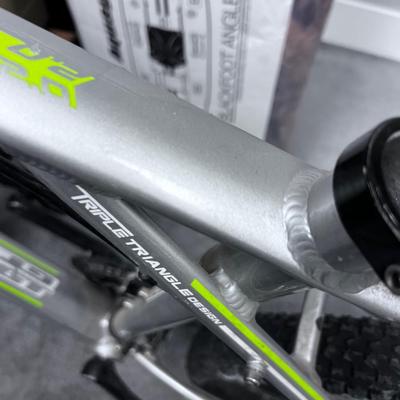 Avalanche GT Mountain Bike, Green & Silver 