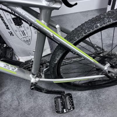 Avalanche GT Mountain Bike, Green & Silver 