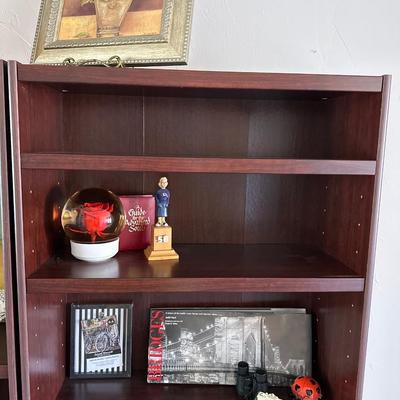 Book cases & contents w/ Louis Vuitton box