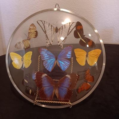 GENUINE BUTTERFLIES DISPLAYED IN A CURVED GLASS AND METAL RIMMED FRAME PLUS PARTYLITE CANDLES
