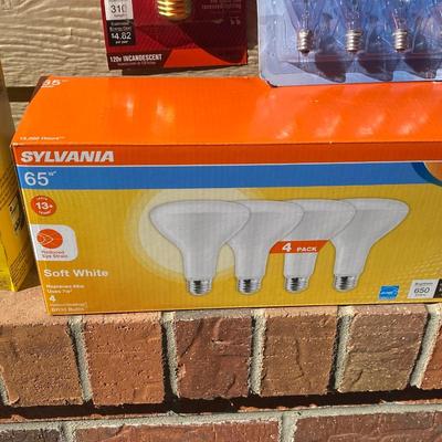 A NICE VARIETY OF LIGHTBULBS