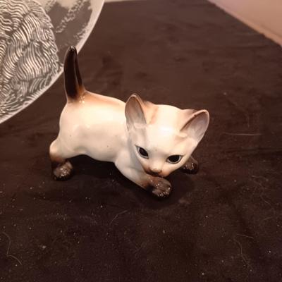 HERE KITTY KITTY