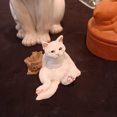 HERE KITTY KITTY