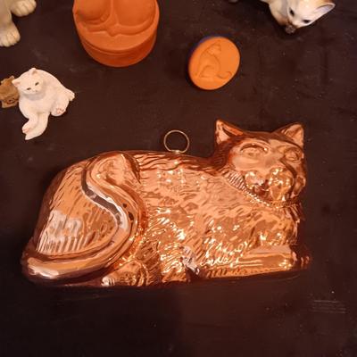 HERE KITTY KITTY