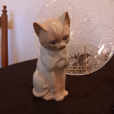 HERE KITTY KITTY
