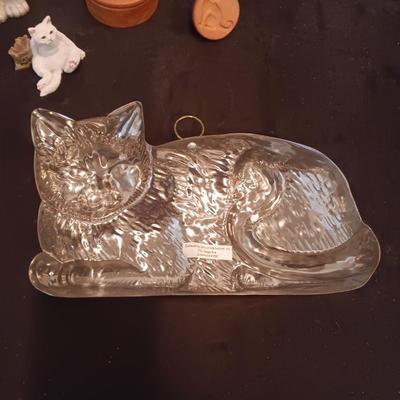 HERE KITTY KITTY