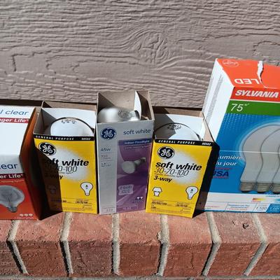 AN ASSORTMENT OF LIGHT BULBS