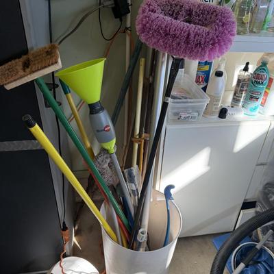 Lot 10: Garage Cabinet, Chemicals & More