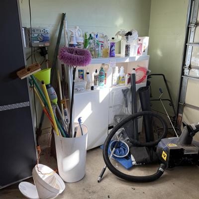 Lot 10: Garage Cabinet, Chemicals & More