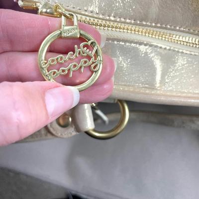 Coach Poppy Raffia Tote